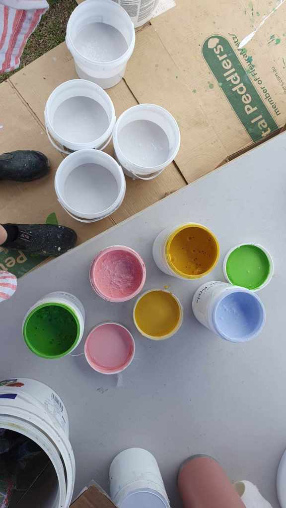 Rufous Street Public Art, ground mural, Peregian, Noosa, Sunshine Coast Queensland, This Bird, Tia Carrigan, ground parrot, birds