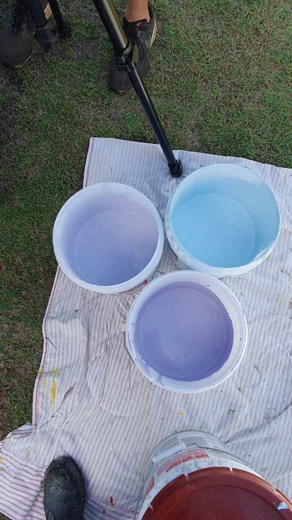 Rufous Street Public Art, ground mural, Peregian, Noosa, Sunshine Coast Queensland, This Bird, Tia Carrigan, ground parrot, birds