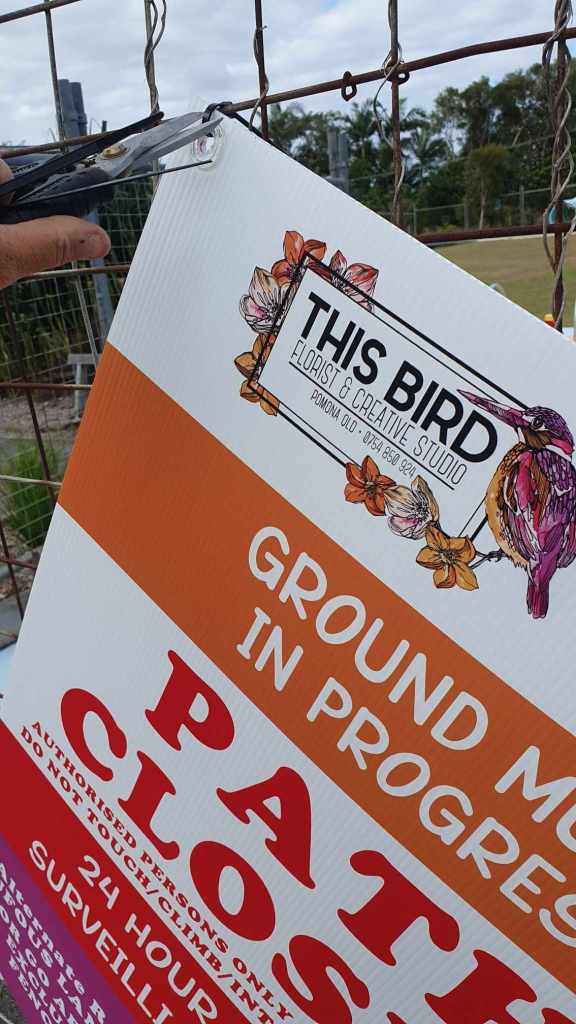 Rufous Street Public Art, ground mural, Peregian, Noosa, Sunshine Coast Queensland, This Bird, Tia Carrigan, ground parrot, birds