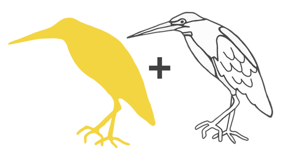 Striated heron

Rufous Street Public Art, ground mural, Peregian, Noosa, Sunshine Coast Queensland, This Bird, Tia Carrigan