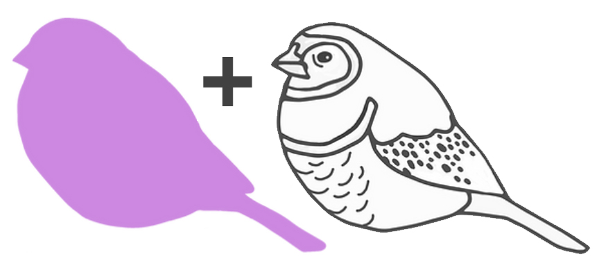 Double barred finch

Rufous Street Public Art, ground mural, Peregian, Noosa, Sunshine Coast Queensland, This Bird, Tia Carrigan