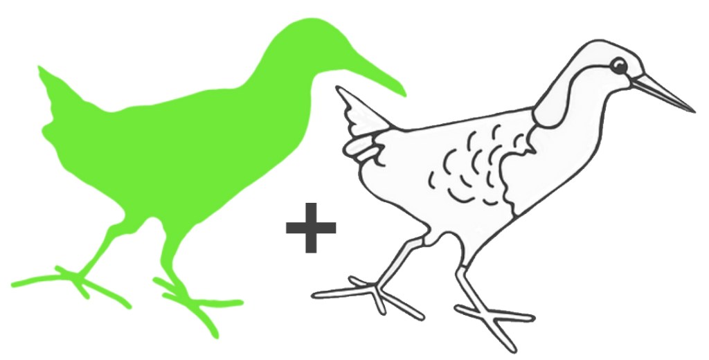 Lewin's rail

Rufous Street Public Art, ground mural, Peregian, Noosa, Sunshine Coast Queensland, This Bird, Tia Carrigan